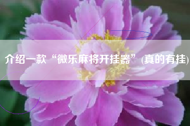 介绍一款“微乐麻将开挂器”(真的有挂)