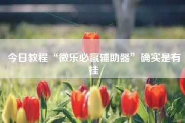 今日教程“微乐必赢辅助器”确实是有挂