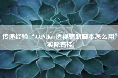 传递经验“AAPOKer透视辅助脚本怎么用”实际有挂