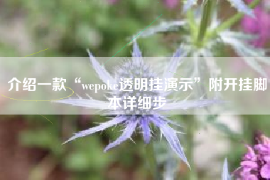 介绍一款“wepoke透明挂演示	”附开挂脚本详细步