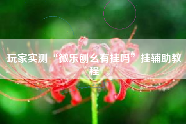 玩家实测“微乐刨幺有挂吗	”挂辅助教程