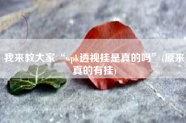我来教大家“wpk透视挂是真的吗”(原来真的有挂)