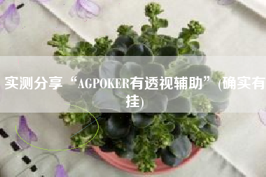 实测分享“AGPOKER有透视辅助	”(确实有挂)
