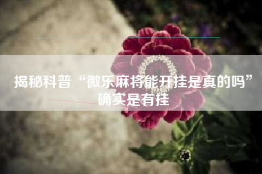 揭秘科普“微乐麻将能开挂是真的吗	”确实是有挂