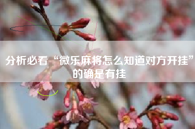 分析必看“微乐麻将怎么知道对方开挂”的确是有挂