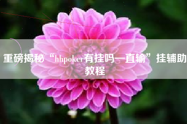 重磅揭秘“hhpoker有挂吗—直输”挂辅助教程