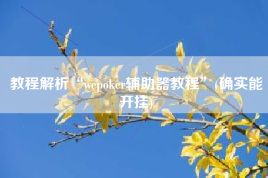 教程解析“wepoker辅助器教程”(确实能开挂)