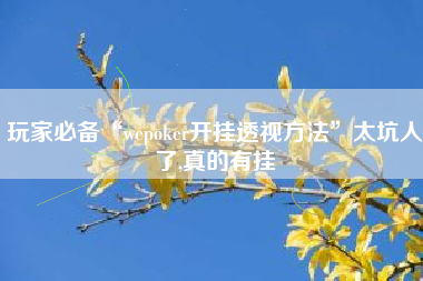 玩家必备“wepoker开挂透视方法”太坑人了,真的有挂