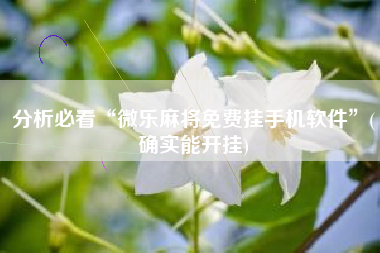 分析必看“微乐麻将免费挂手机软件”(确实能开挂)