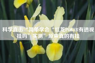 科学直击“简单学会“红龙POKER有透视挂吗	”实测”原来真的有挂