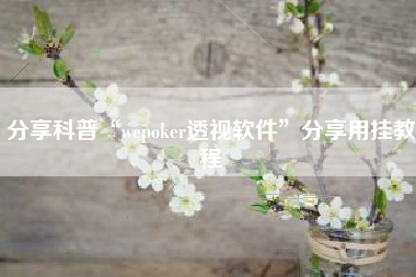 分享科普“wepoker透视软件”分享用挂教程