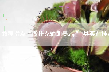 教程指点“微扑克辅助器app”(其实有挂)