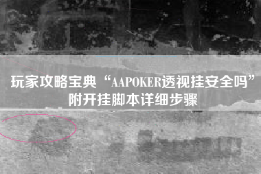 玩家攻略宝典“AAPOKER透视挂安全吗	”附开挂脚本详细步骤