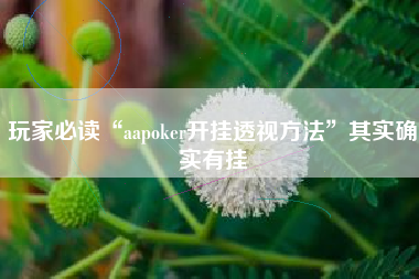 玩家必读“aapoker开挂透视方法	”其实确实有挂