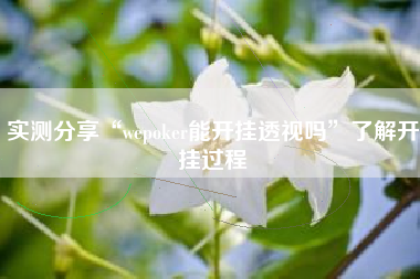 实测分享“wepoker能开挂透视吗”了解开挂过程
