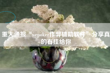 重大通报“wepoker作弊辅助软件	”分享真的有挂给你