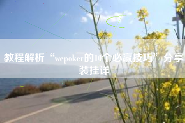 教程解析“wepoker的10个必赢技巧”分享装挂详