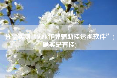 分享实测“WPK作弊辅助挂透视软件”(确实是有挂)