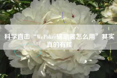 科学直击“WePoker辅助器怎么用	”其实真的有挂