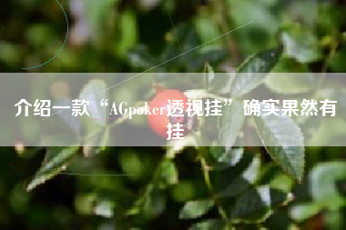 介绍一款“AGpoker透视挂”确实果然有挂
