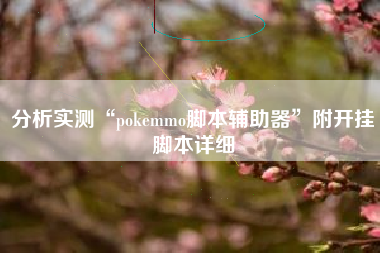 分析实测“pokemmo脚本辅助器”附开挂脚本详细