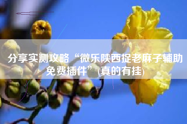 分享实测攻略“微乐陕西捉老麻子辅助免费插件	”(真的有挂)