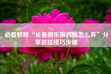 必看教程“长春微乐麻将挂怎么弄”分享装挂技巧步骤