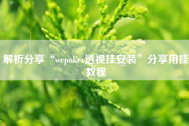 解析分享“wepoker透视挂安装	”分享用挂教程