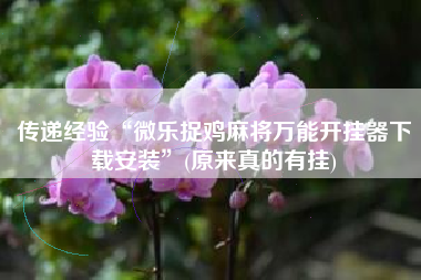 传递经验“微乐捉鸡麻将万能开挂器下载安装”(原来真的有挂)