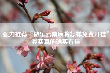 强力推荐“微乐云南麻将怎样免费开挂”其实真的确实有挂