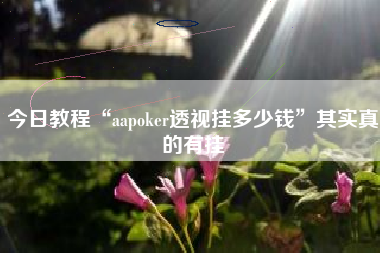 今日教程“aapoker透视挂多少钱”其实真的有挂