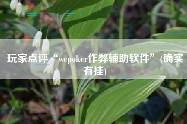 玩家点评“wepoker作弊辅助软件	”(确实有挂)