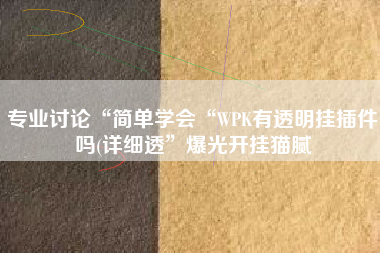 专业讨论“简单学会“WPK有透明挂插件吗(详细透”爆光开挂猫腻