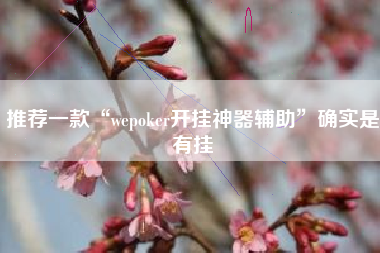 推荐一款“wepoker开挂神器辅助”确实是有挂
