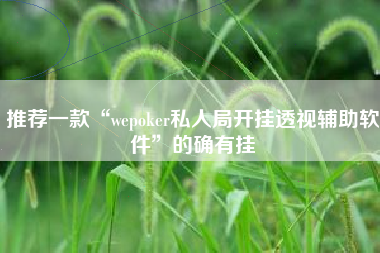 推荐一款“wepoker私人局开挂透视辅助软件	”的确有挂