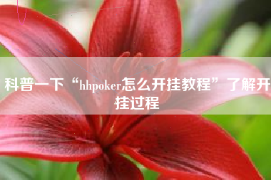 科普一下“hhpoker怎么开挂教程”了解开挂过程