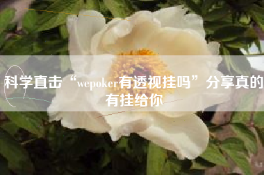 科学直击“wepoker有透视挂吗”分享真的有挂给你