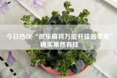 今日热议“微乐麻将万能开挂器苹果	”确实果然有挂