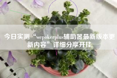 今日实测“wepokerplus辅助器最新版本更新内容	”详细分享开挂