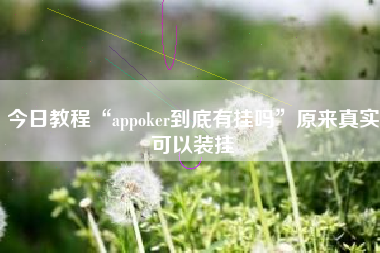 今日教程“appoker到底有挂吗”原来真实可以装挂