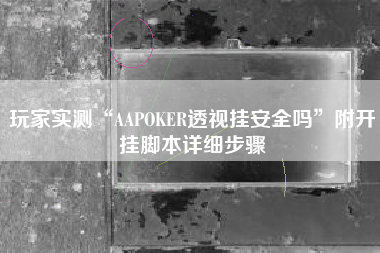 玩家实测“AAPOKER透视挂安全吗”附开挂脚本详细步骤