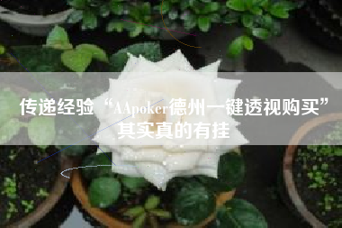 传递经验“AApoker德州一键透视购买”其实真的有挂