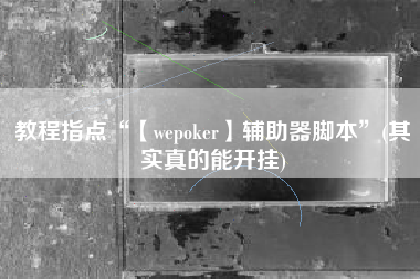 教程指点“【wepoker】辅助器脚本”(其实真的能开挂)