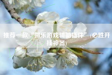 推荐一款“微乐游戏辅助插件”(必胜开挂神器)