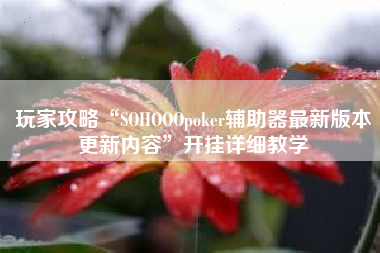 玩家攻略“SOHOOOpoker辅助器最新版本更新内容”开挂详细教学