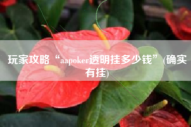 玩家攻略“aapoker透明挂多少钱	”(确实有挂)