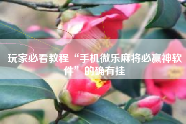 玩家必看教程“手机微乐麻将必赢神软件	”的确有挂