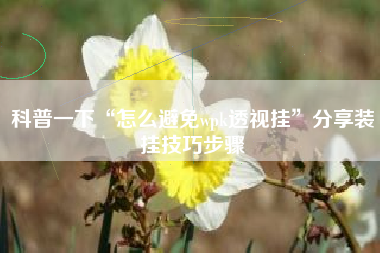 科普一下“怎么避免wpk透视挂”分享装挂技巧步骤