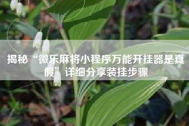 揭秘“微乐麻将小程序万能开挂器是真假”详细分享装挂步骤