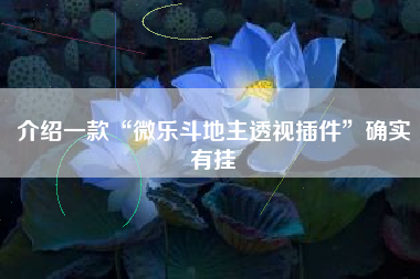 介绍一款“微乐斗地主透视插件”确实有挂